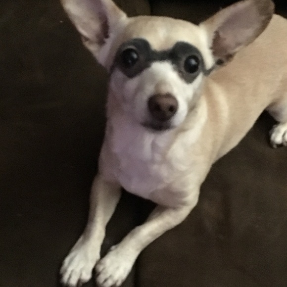 ♥️ Like and share to be notified when I go live.. - Picture 9 of 16